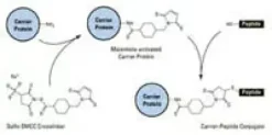 Réactif imject mâleimide mariculture 2 mg