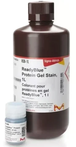 Readyblue protein gel stain 1 L
