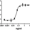 Recombinant Human IL-4 (carrier-free) 10 µg