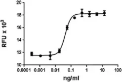 Recombinant Human IL-4 (carrier-free) 10 µg