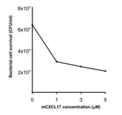 Recombinant Mouse CXCL17 (VCC-1) (carrier-free) 10 µg