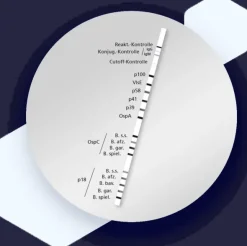RecomLine Borrelia IgM