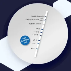 RecomLine Parvovirus B19 IgM