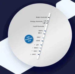 RecomLine Toxoplasma IgG [Avidit.]