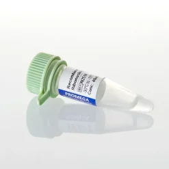 Rec. RNasin RNase Inhibitor 2,500u 2500u 2500 unités