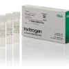 Rna 6000 ladder-3 tubes