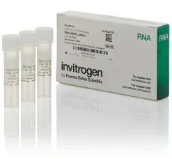 Rna 6000 ladder-3 tubes