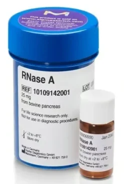 RNase A from bovine pancreas, 100 mg