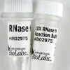 Rnase h recombinant 250 unités