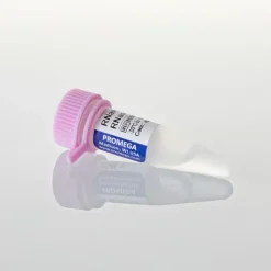 RNasin Plus RNase Inhibitor 10,000u 10000u 10000 unités