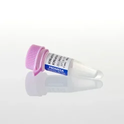 RNasin Plus RNase Inhibitor 2500u 2500u 2500 unités