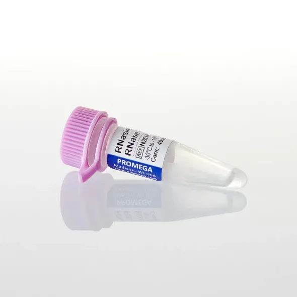 RNasin Plus RNase Inhibitor 2500u 2500u 2500 unités