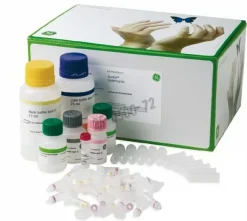 Rnaspin mini (250) kits de purification d arn illustra 250 Réactions