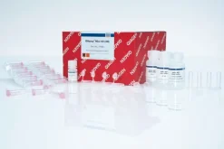 RNeasy Mini Kit (50)