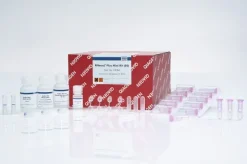 RNeasy Plus Mini Kit (50)