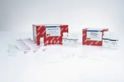 RNeasy Protect Bacteria Mini Kit (50)