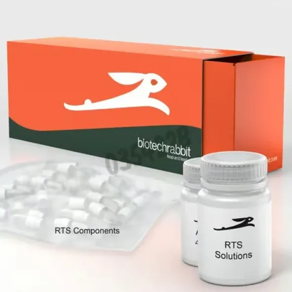 Rts 500 e. coli disulfide kit 5 réactions de 1 ml
