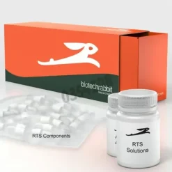 Rts 500 proteomaster e coli hy kit 5 réactions of 1 ml