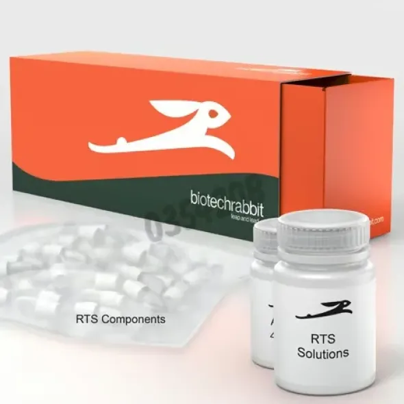 Rts 500 proteomaster e coli hy kit 5 réactions of 1 ml
