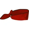 Sac de transport Sober pour collier cervical 2 parties