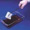 Sachets de decoloration bromure d ethidium x 25 pcs