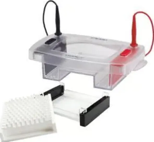 Shirogel hor,96 system comb 1 mm 1 ma
