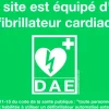 Signalétique site équipé d'un DAE, qualité premium : site équipé de taille 10 x 15 cm [distribuée par Schiller]