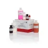 Silverquest silver staining kit-1 kit