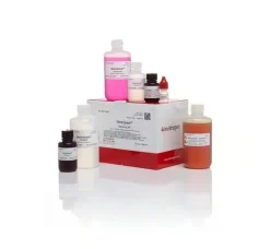 Silverquest silver staining kit-1 kit