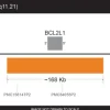 Sonde BCL2L1 FISH probe- Orange - 20 tests