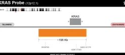 Sonde KRAS FISH probe - 20 tests - Orange