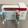 SS-A RO60 Calibrators sur BIO-FLASH - coffret 2 x 2 x 0,3 ml 1 kit