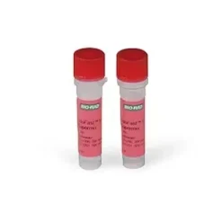 SsoFast Eva Green Supermix 200 x 20 µl reactions 1 Kit