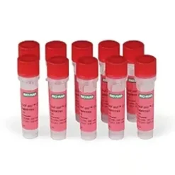 SsoFast Eva Green Supermix 1000 x 20 µl reactions 1 Kit