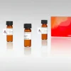 StemMACS SB431542 in Solution/5 mg
