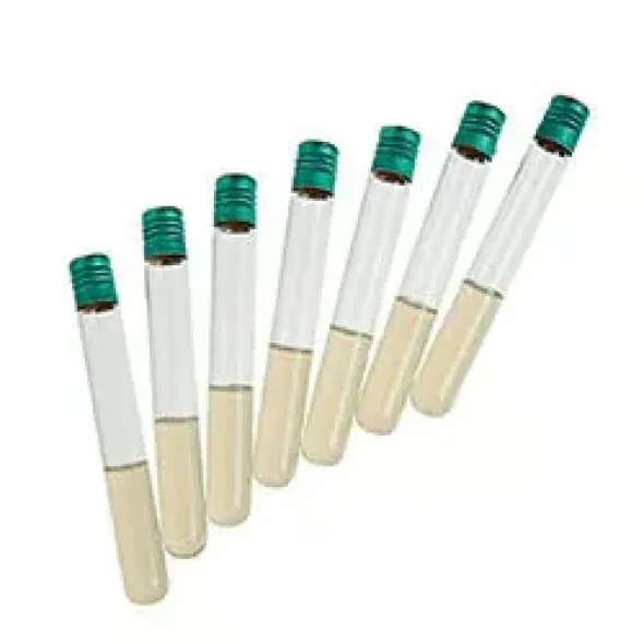 Stock Culture Agar tubes 1 mL