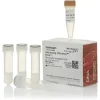 Subcloning efficiency dh5a competent cells-4 x 500 µL