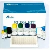 Sulfotransferase 1a1 (sult1a1) 48 Tests