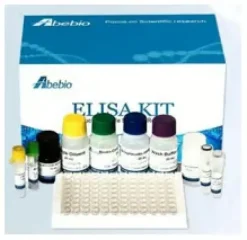 Sulfotransferase 1a1 (sult1a1) 48 Tests