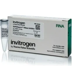 Superase-in rnase inhibitor (20 u/ul)-10,000 units 10000 unités
