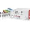 Superscript iv cellsdirect cdna synthesis kit-500 réactions