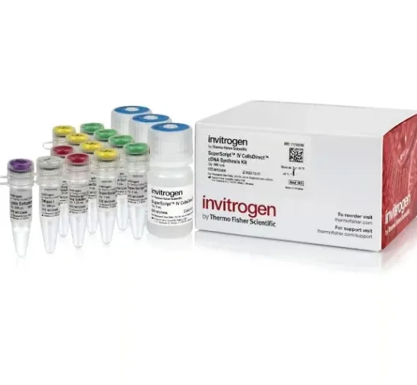 Superscript iv cellsdirect cdna synthesis kit-500 réactions
