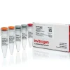 Superscript iv one-step rt-pcr system-100 réactions