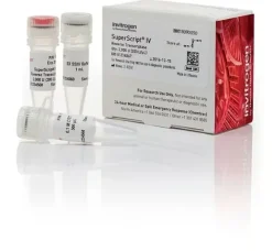 Superscript iv reverse transcriptase 40000 unités