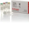 Superscript iv vilo master mix with ezdnase enzyme-50 réactions
