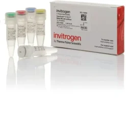 Superscript iv vilo master mix with ezdnase enzyme-50 réactions