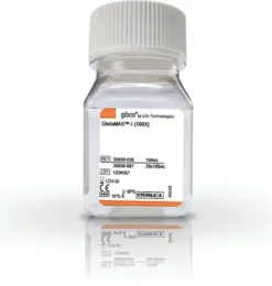 Supplément GlutaMAX (100x) 100 ml