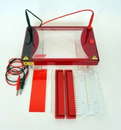 Système d'électrophorèse Clearsub L 15 x 15 cm