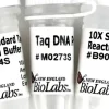 Taq dna polymerase (df standard taq buffer) 400 unités