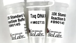 Taq dna polymerase (df standard taq buffer) 400 unités